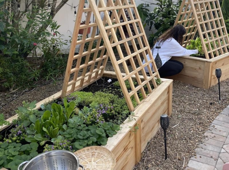 My Journey with Rooted and Healed Edible Raised Bed Gardens