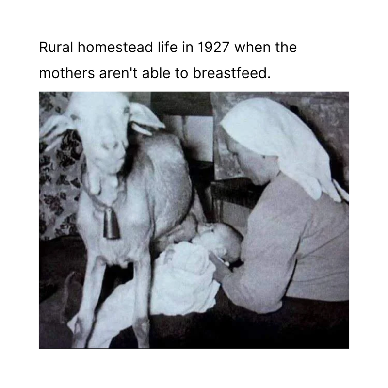 A Glimpse into Home Birthing in the 1920s