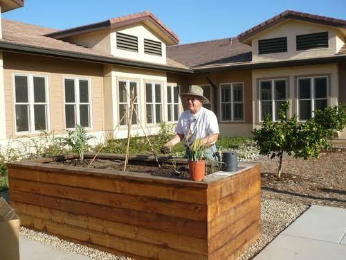 The Back-Friendly Benefits of Raised Beds
