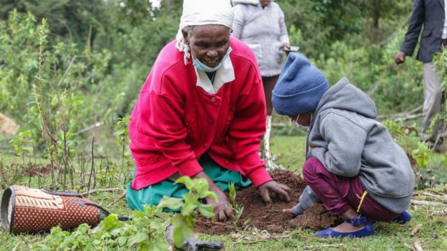 Kenyan Government Declares Public Holiday for Nationwide Tree Planting Initiative