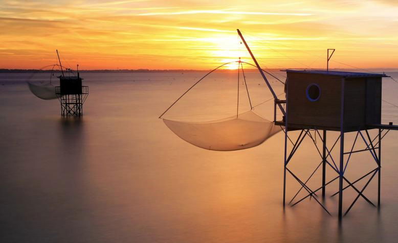 Marée de pêche Pêcherie 172