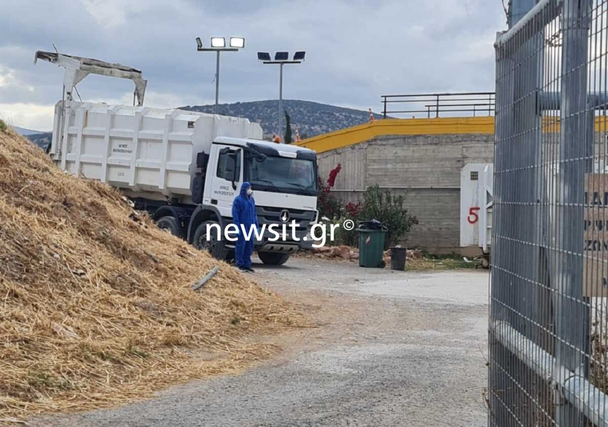 18:56 10/05/2024ΒΡΑΥΡΩΝΑ: Ο ΠΑΤΕΡΑΣ ΟΜΟΛΟΓΗΣΕ ΠΩΣ ΠΕΤΑΞΕ ΤΟ ΒΡΕΦΟΣ ΣΤΑ ΣΚΟΥΠΙΔΙΑ, ΥΠΟΣΤΗΡΙΖΕΙ ΠΩΣ ΓΕΝΝΗΘΗΚΕ ΝΕΚΡΟ