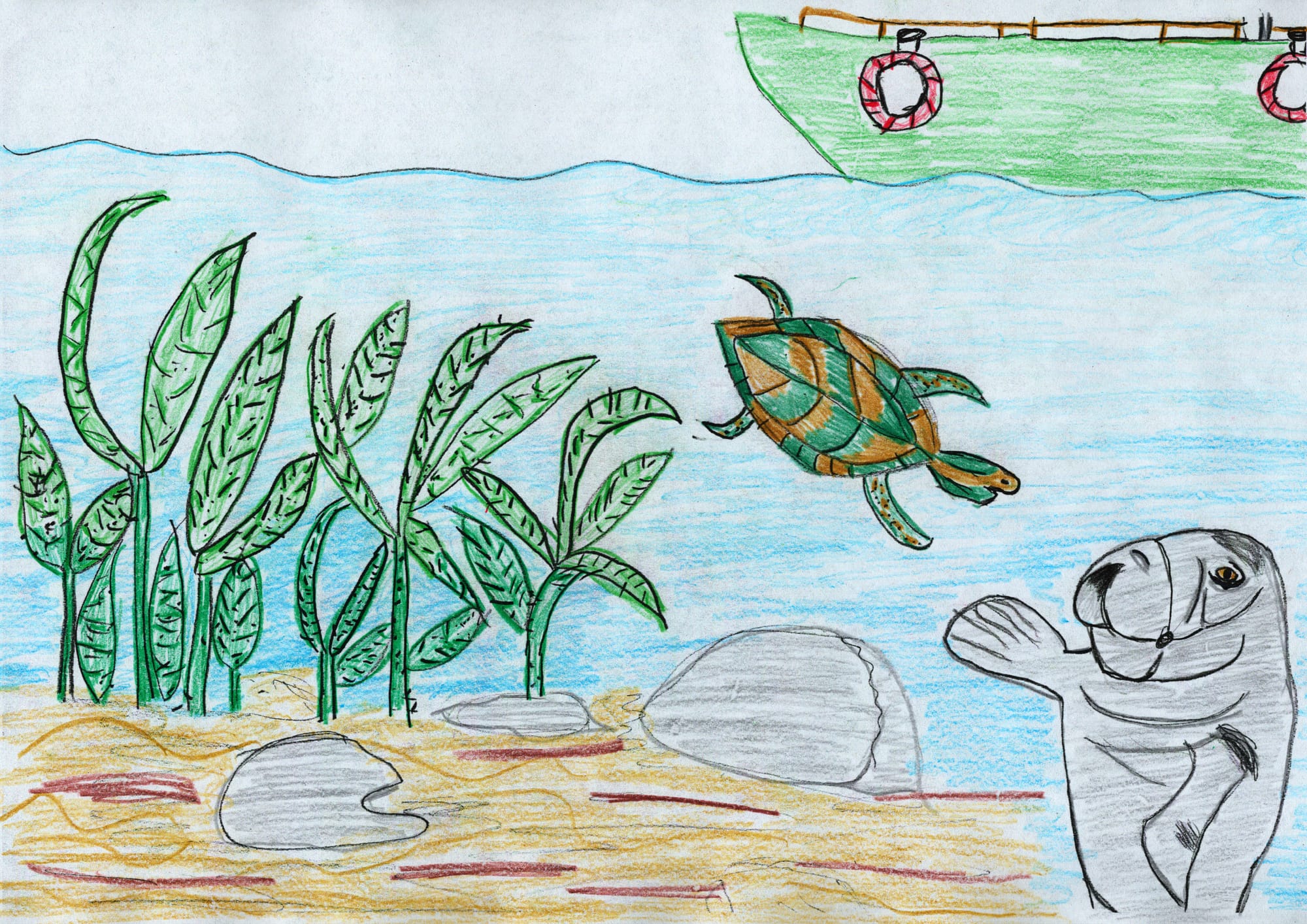 "Shelly and Friends"