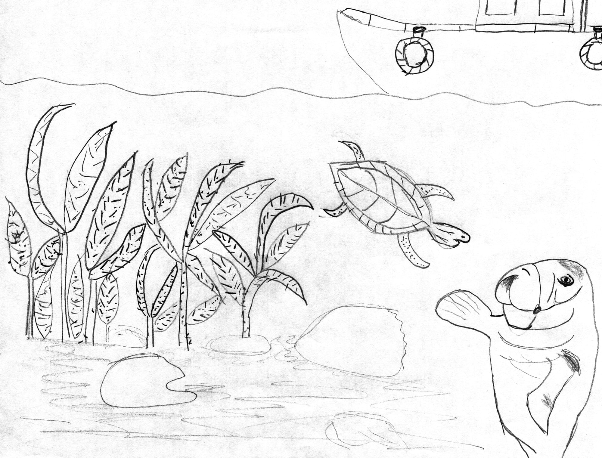 "Shelly and Friends"