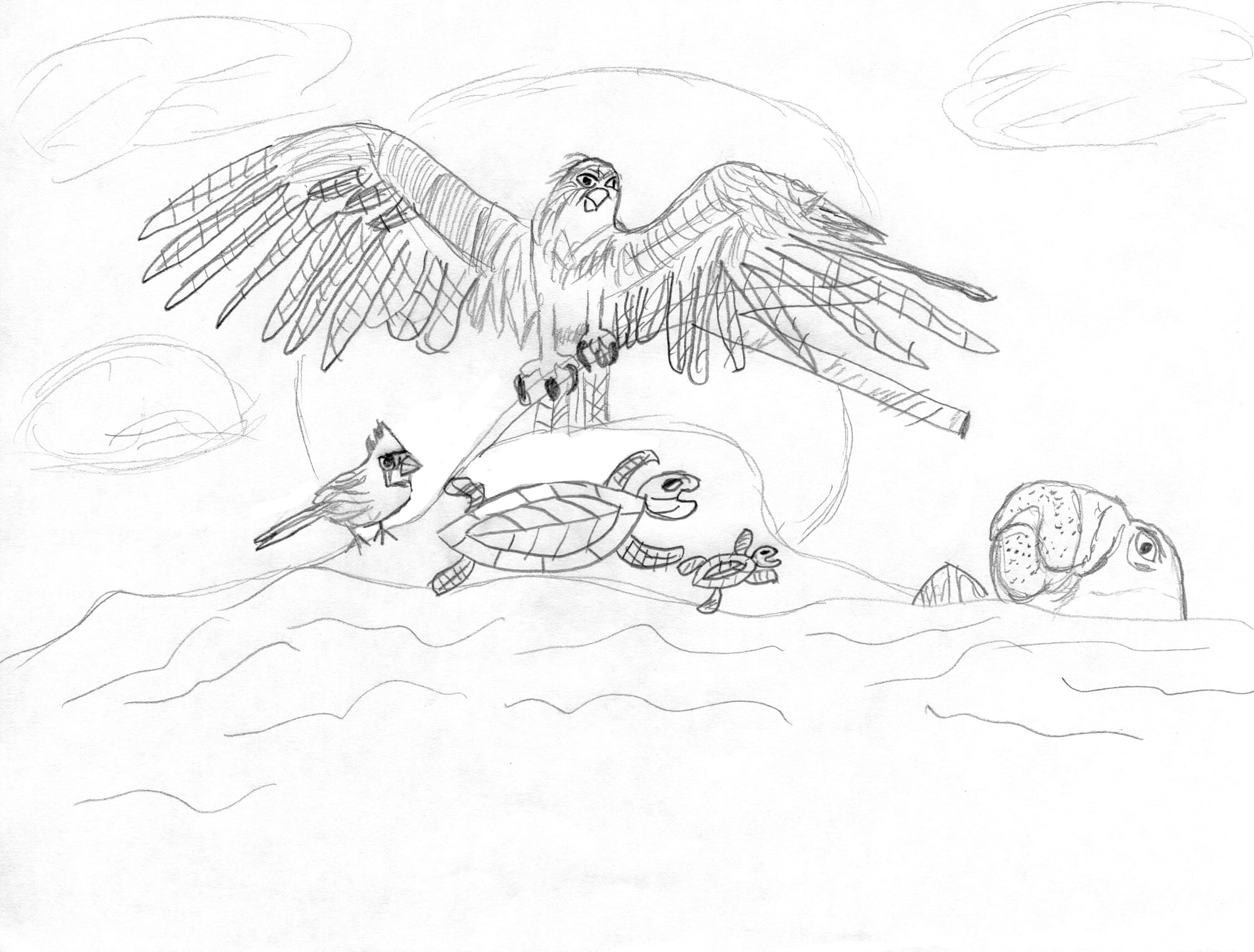 Download your free coloring sheets