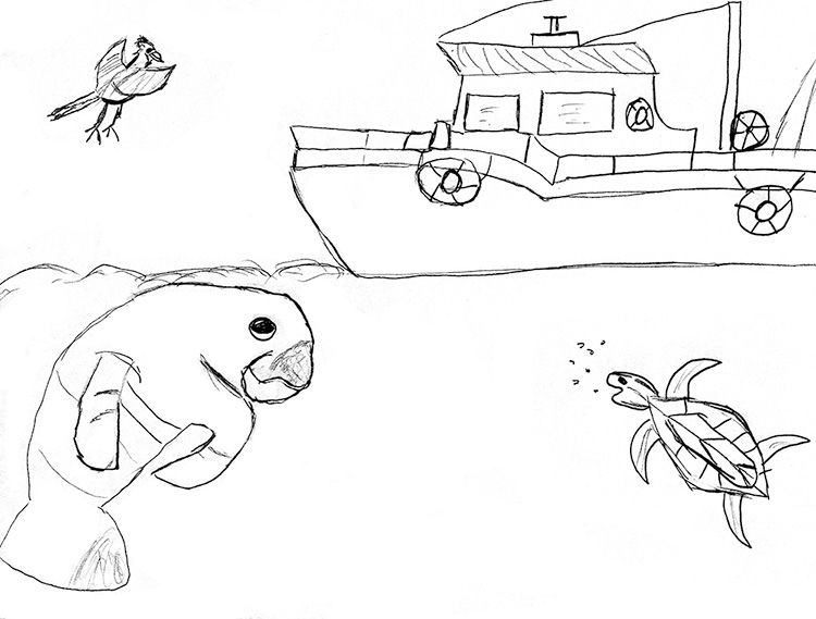 Download your free coloring sheets