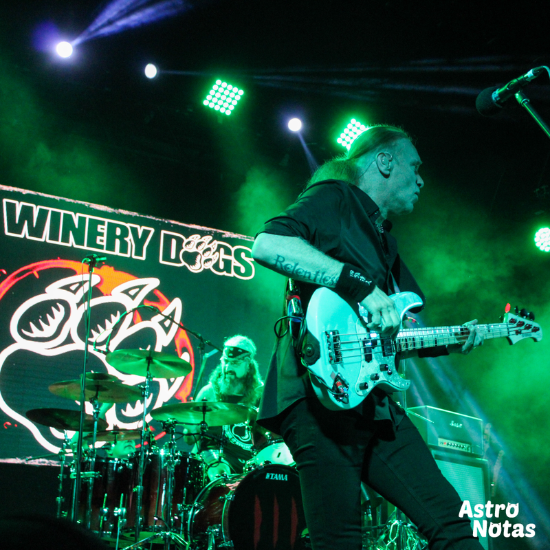 Winery Dogs