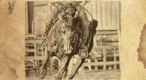 L'équitation western