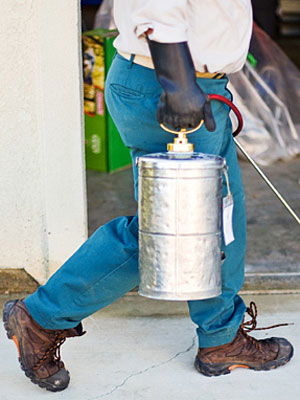 Why You Need a Qualified Pest Control Company for the Maintenance of Your Home