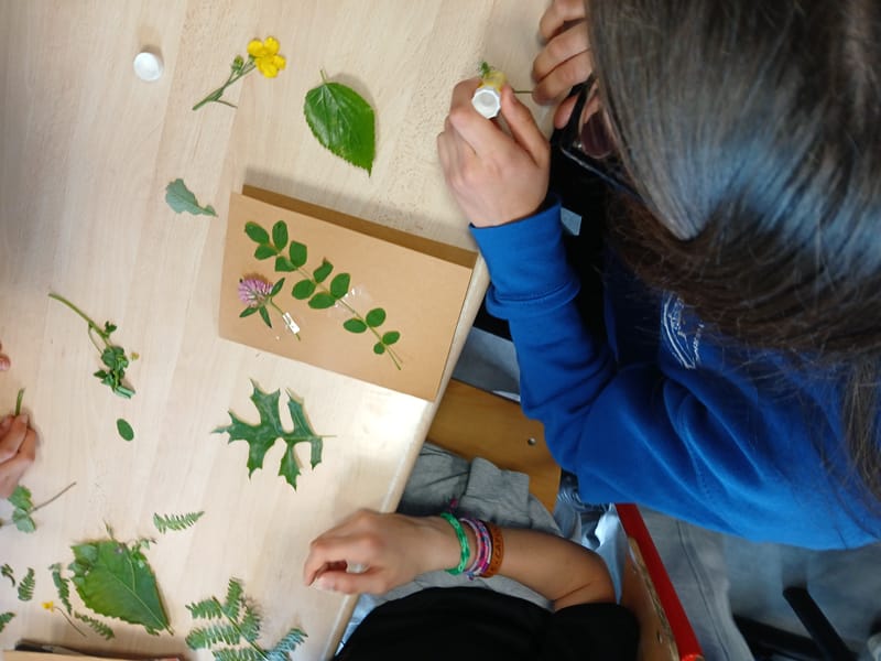 Harborium and Qairos