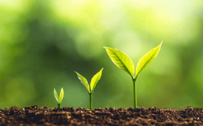 Bon pour l'environnement