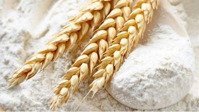 WHEAT FLOUR - INDUSTRIAL USE