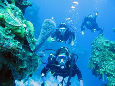 Dive into Paradise: Exploring Cancun's Underwater World with Dive Shops