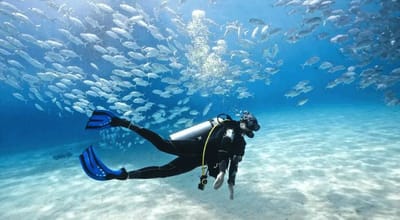 Exploring the Wonders of the Deep: Scuba Diving in Cancun