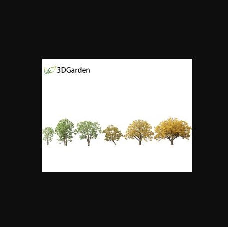 Palm Tree 3D Models Free Download