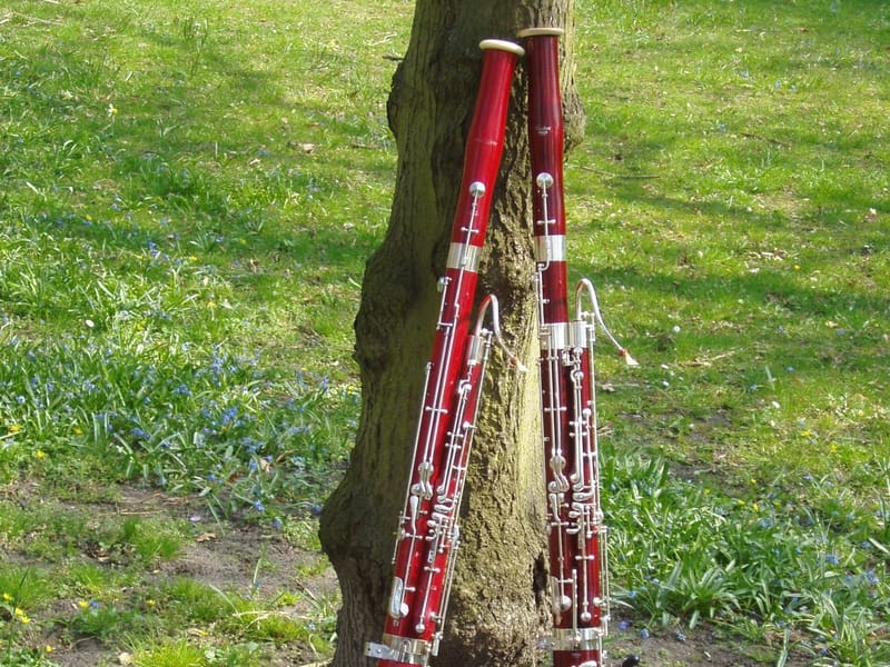"BaRokoko & Tico Tico" im Französischen Dom