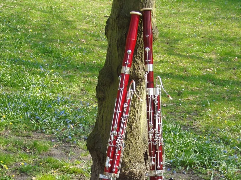 „BaRokoko & Tico Tico“ in der St. Laurentius-Kirche