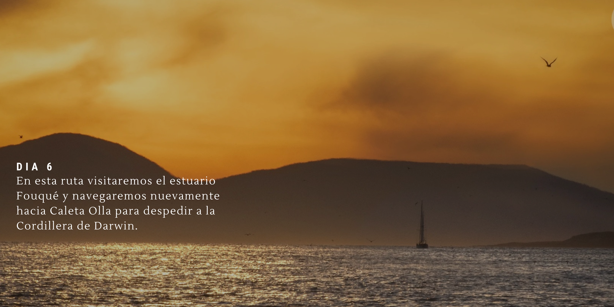 €1,650 - (8 días)