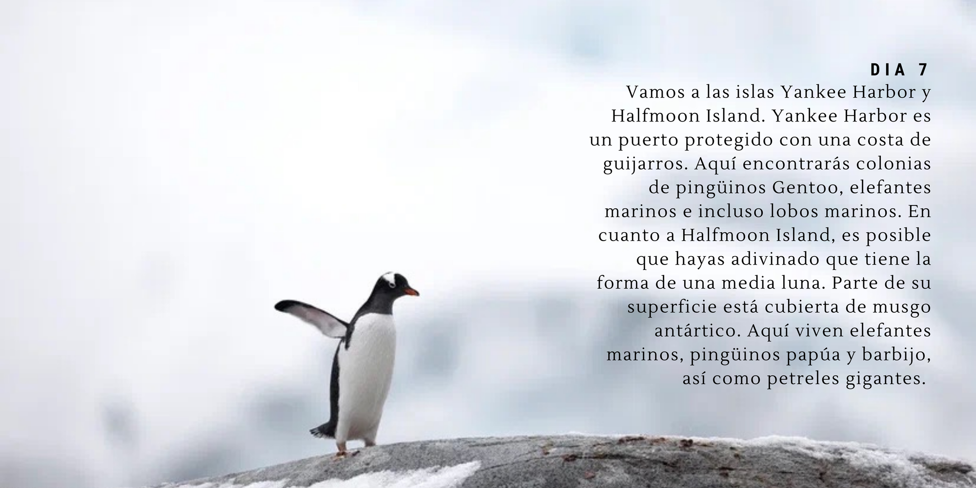 €10,000 - (17 días)