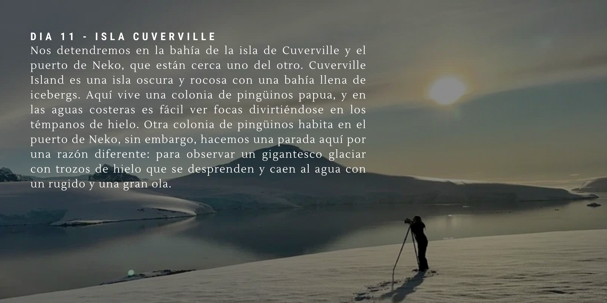 €10,000 - (17 días)