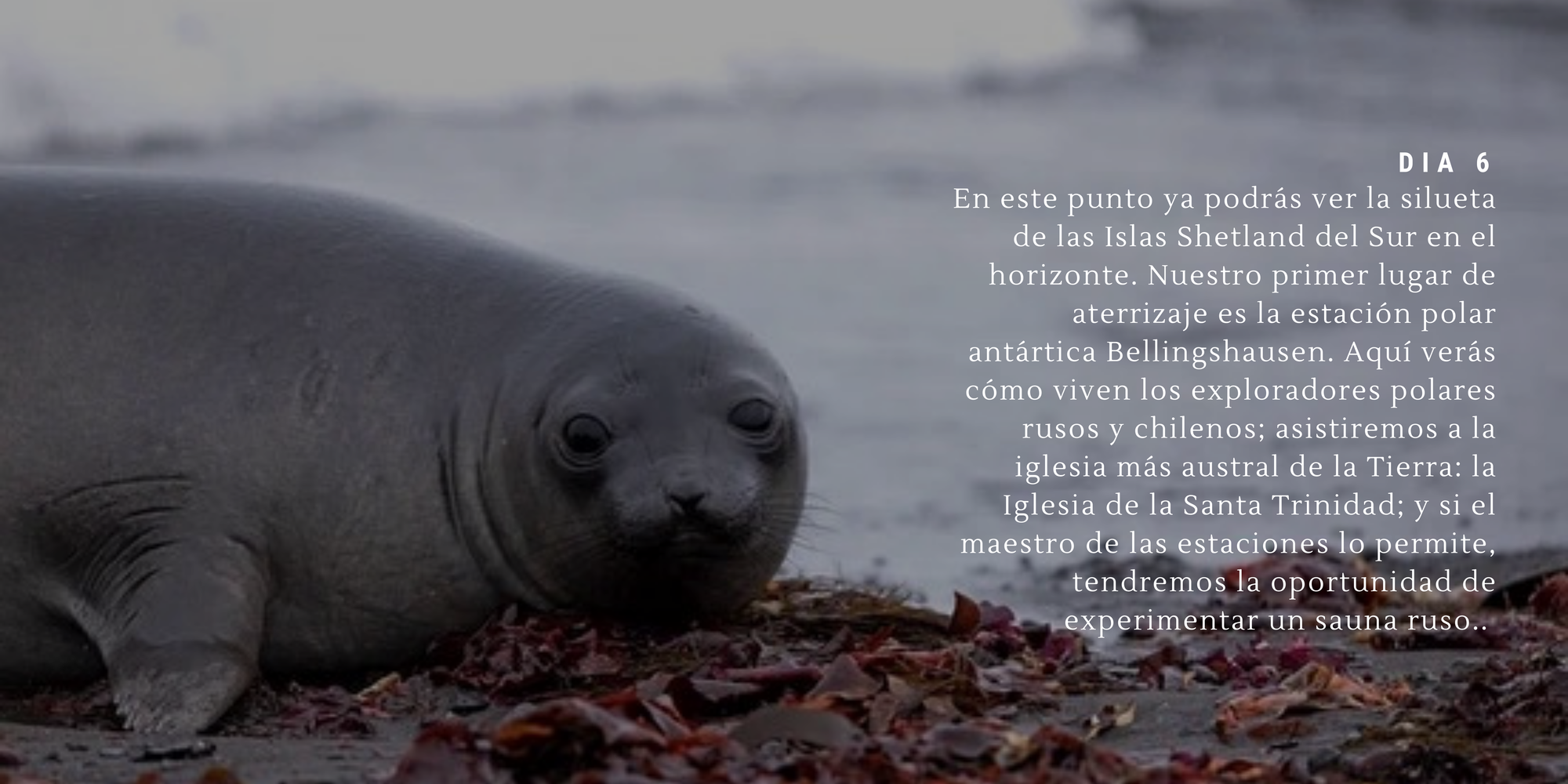 €10,000 - (17 días)