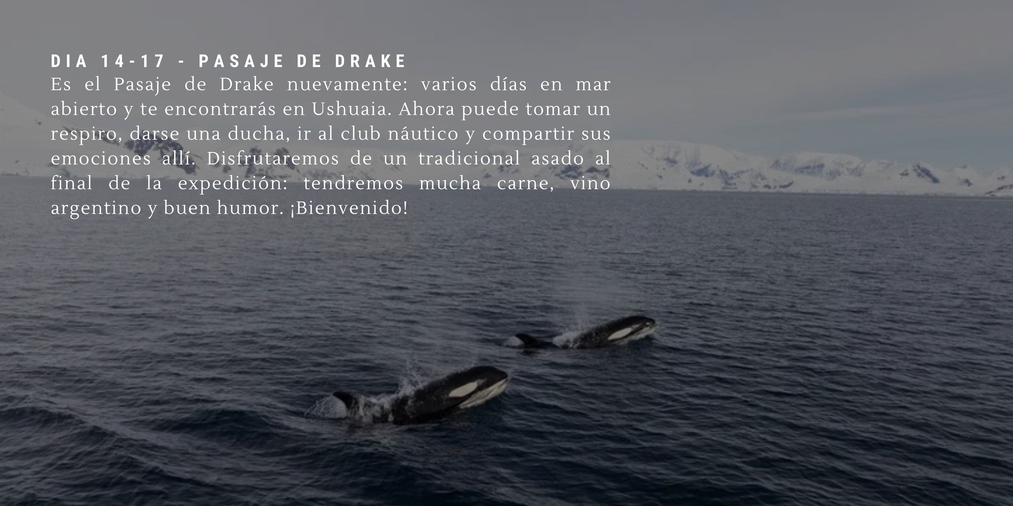 €10,000 - (17 días)