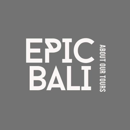 About EpicBali Tours