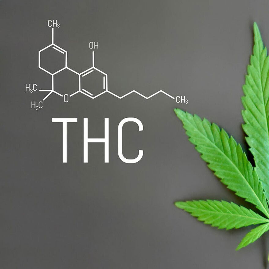 El THC: Explorando las Propiedades y Efectos de la Molécula Psicoactiva del Cannabis