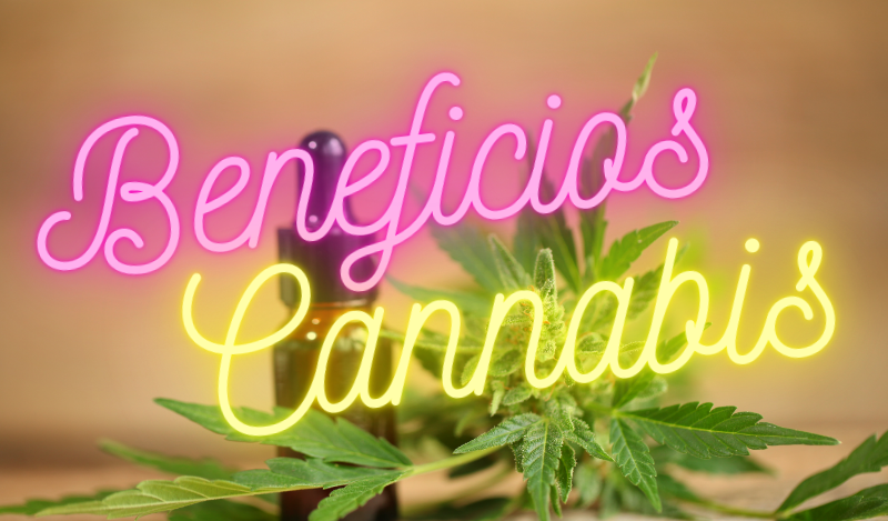 Explorando los Beneficios del Cannabis