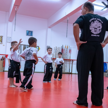 Kung Fu (Shaolin  do Norte) para adultos e crianças