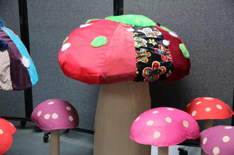 Meter-tall Mushrooms 
