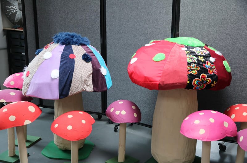Meter-tall Mushrooms 