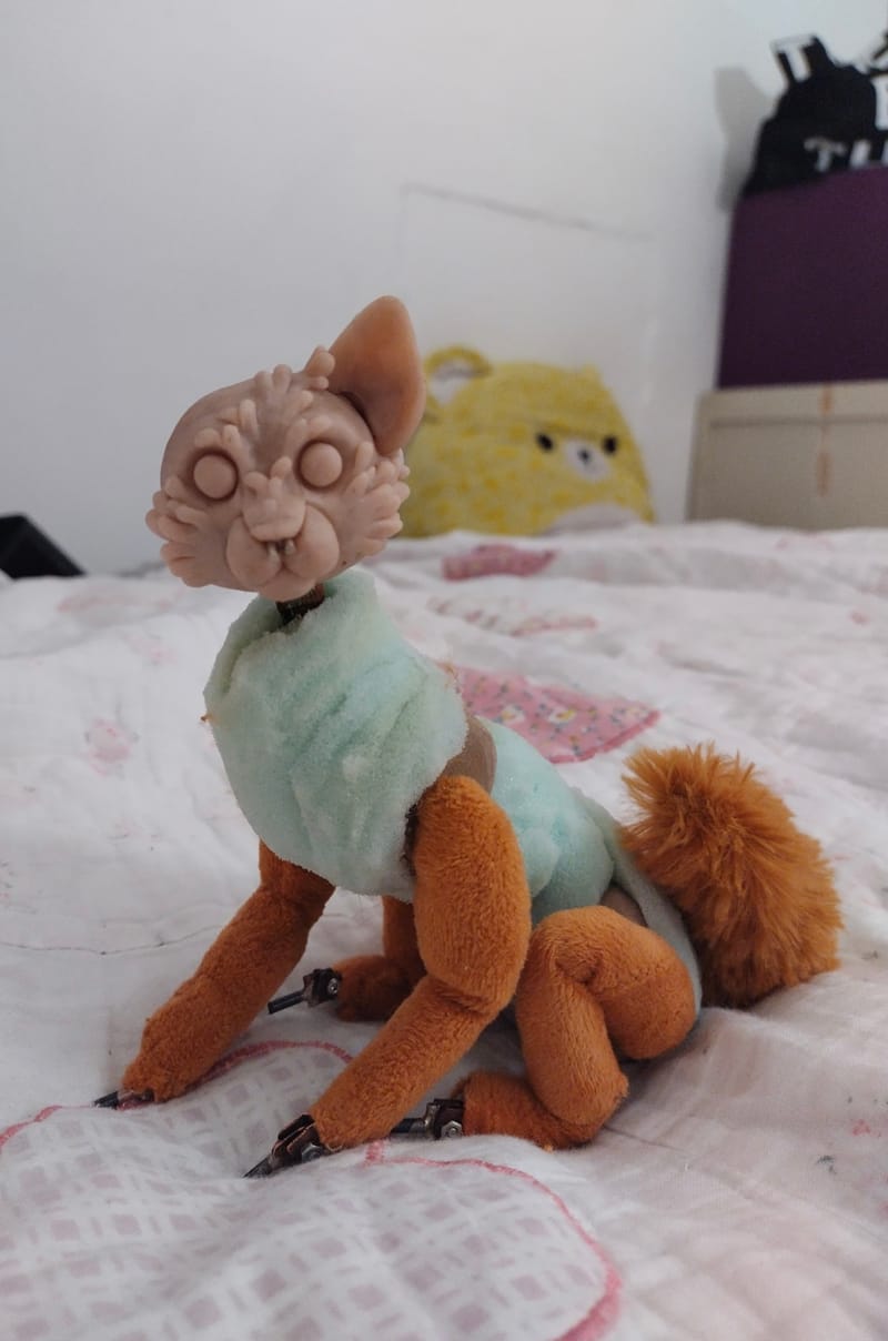 Processes and Progress Images