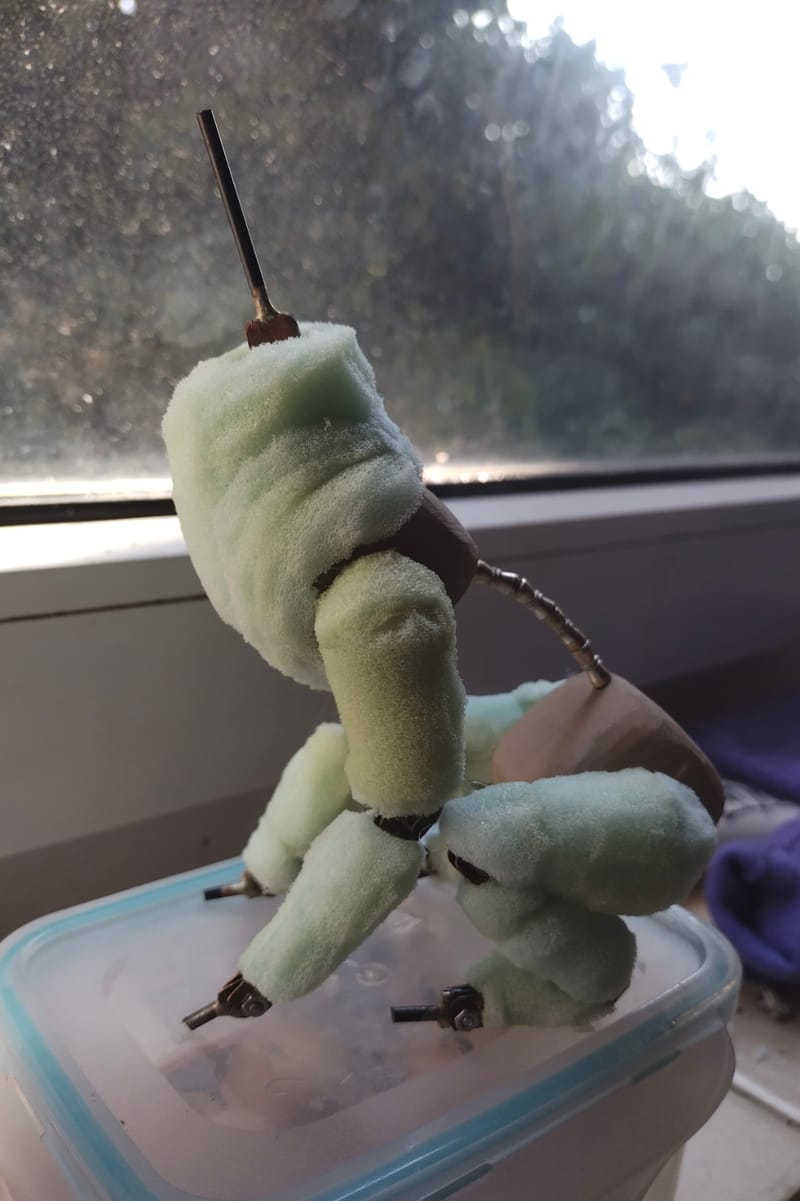 Processes and Progress Images