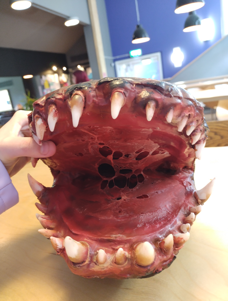 Processes and Progression Images