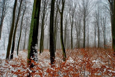 ציוד צילום יקר