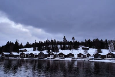 Manfrotto 3D Junior Camera Head