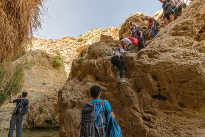 שלוה בסביבה שוקעת