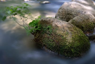 קומפוזיציה