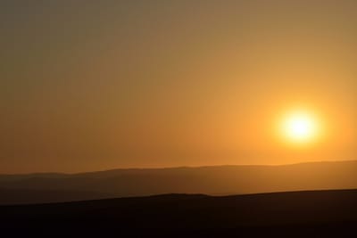 Zeiss Apo Sonnar 135mm f/2