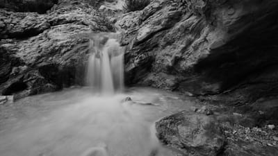 שחור לבן בצילום