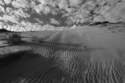 צילום- המדיה החדשה. אומנות. איפה להתחיל? חלק 3