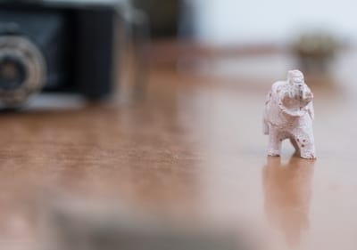 צמצם-איך למה וכמה. הסיפור המלא