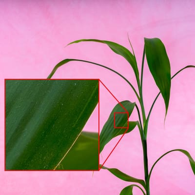 Fujinon GF 63mm f/2.8 R WR