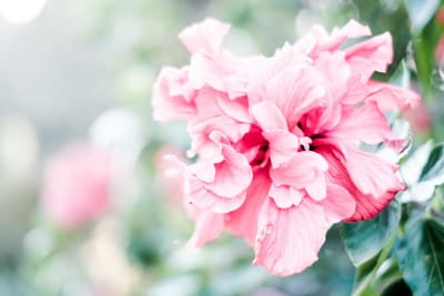 כיצד לייצר תמונה מאוזנת נכון