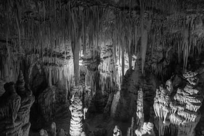 מה ההבדל בין איזו גבוה לרעש סיגנלי ומה הגורמים לרעש