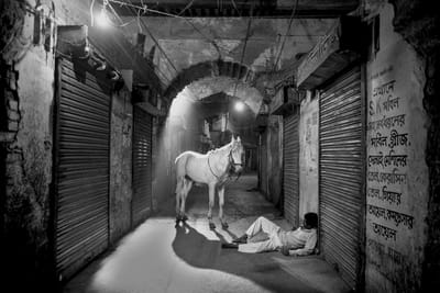 מתי נכון לצרוב תמונה