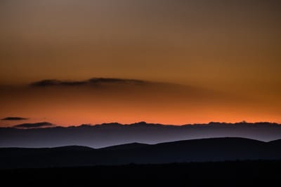 איך לבחור תמונות לתחרויות ותערוכות