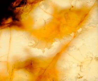 האם זה כישרון או ידע?