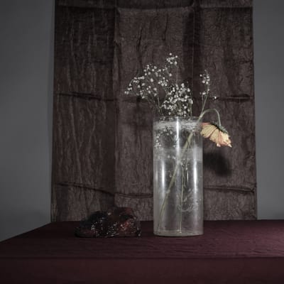 האם יצירה משמרת סבל?